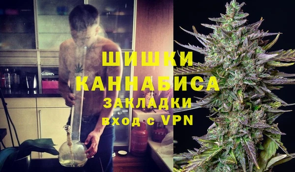 сатива Аркадак