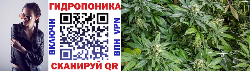 гидра ТОР  Кашин  Бошки марихуана Amnesia  магазин  наркотиков 